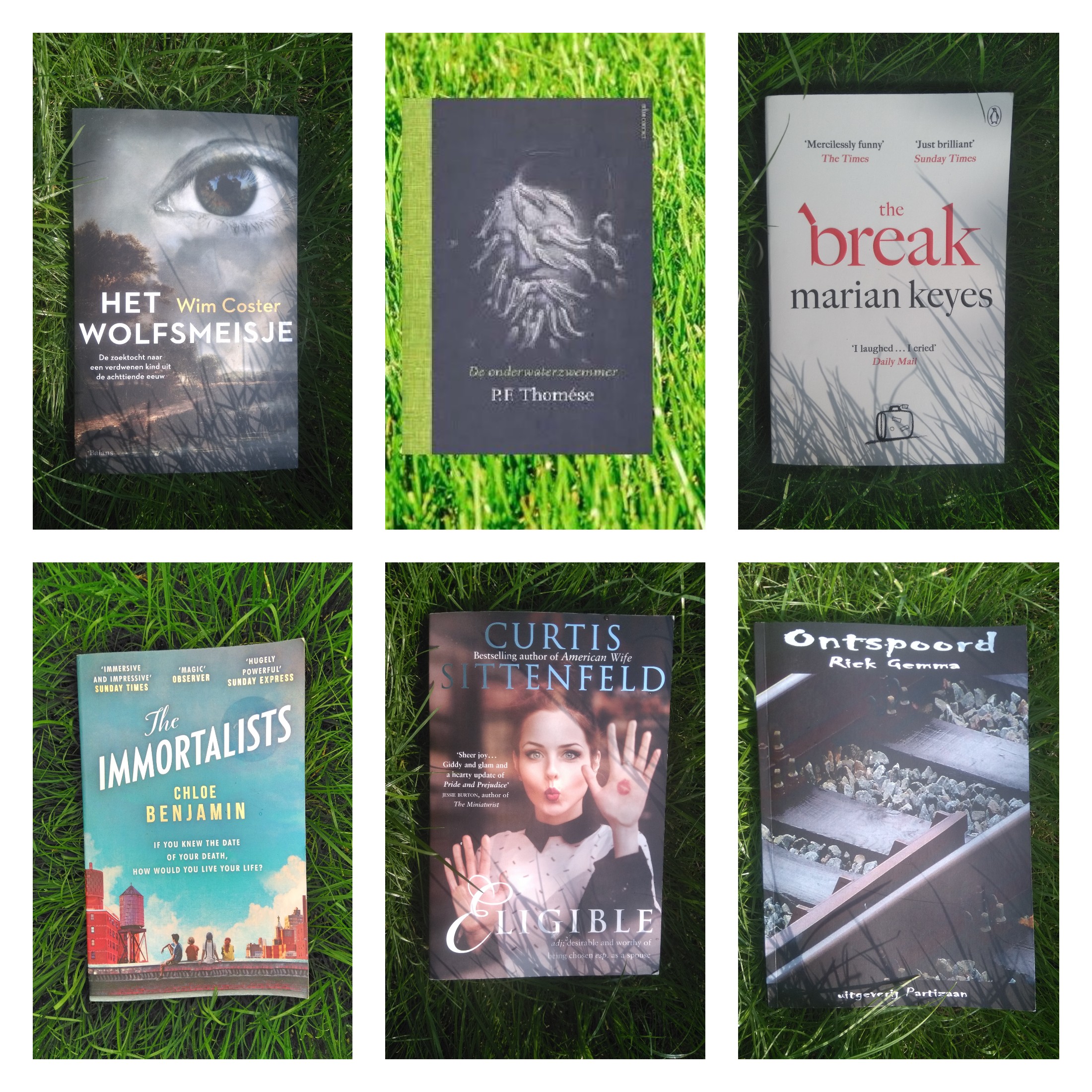 Fotor_153613724467165